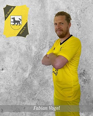 Fabian Vogel