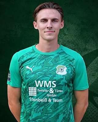 Henrik Scheibe