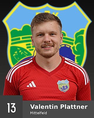Valentin Plattner