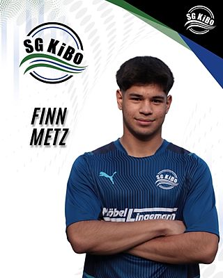 Finn Mattis Metz