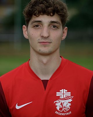 Leonhard Bösl