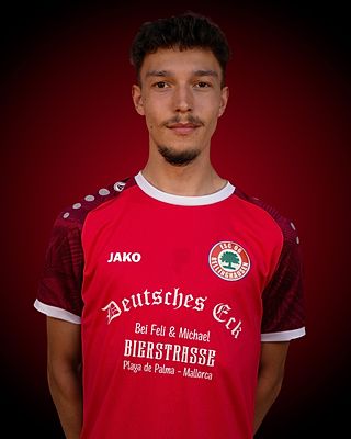 Dominik Friedrichs