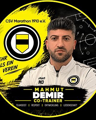 Mahmut Damir