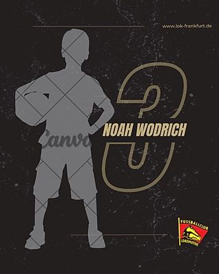 Noah Wodrich
