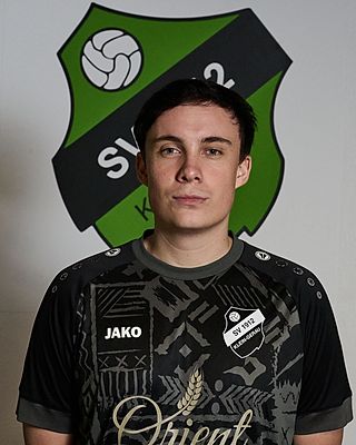 Ronaldo Dzigurski