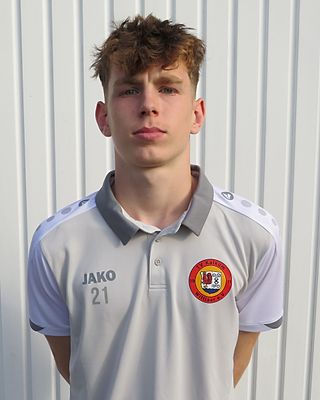 Henrik Noah Verhesen