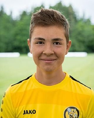 Johannes Klinkert