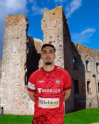 Bruno Nogueiro Goncalves