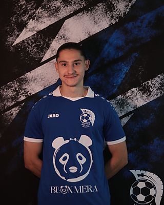 Efe Bayraktaroglu