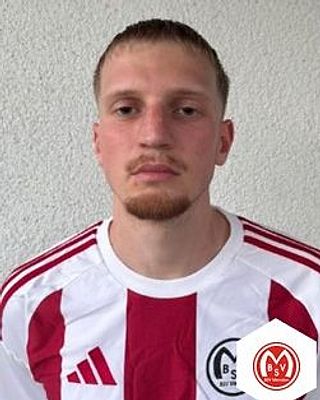 Max Vincent Richter