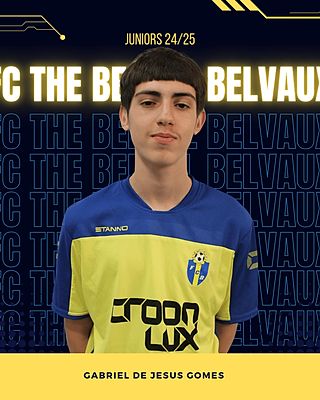 Gabriel De Jesus Gomes