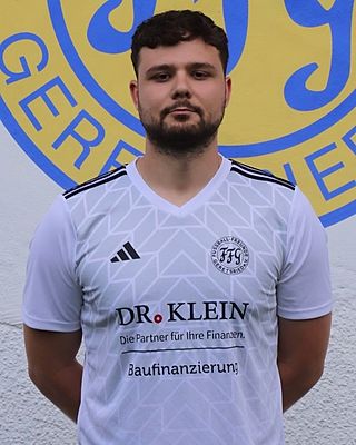 Dimitrios Stogiannidis