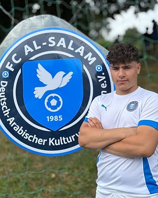 Anas Alhussein-Almehl