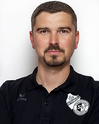 Damir Delic