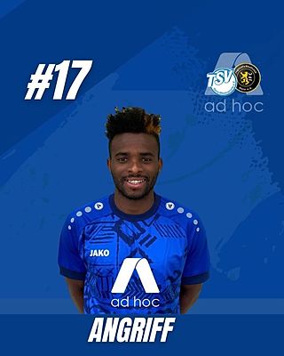 Amadou Mouctar Diallo