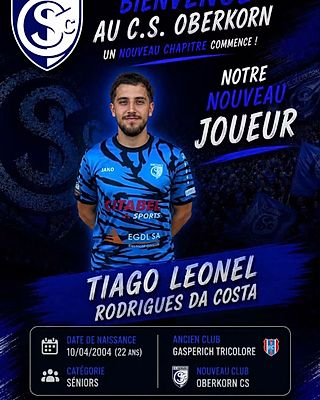 Tiago Leonel Rodrigues Da Costa