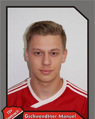 Manuel Gschwendtner
