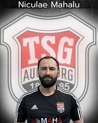 Niculae Mahalu