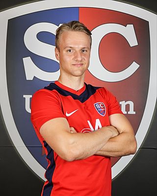 Theo Saubert