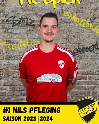 Nils Pfleging