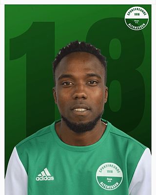 Isa Sahoneg Touray