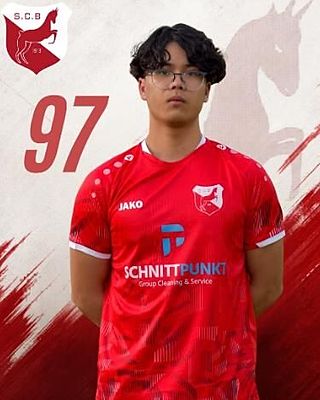 Bao Hoang