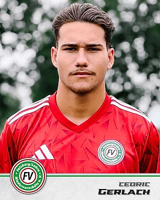 Cedric Gerlach