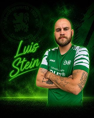Luis Stein