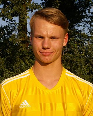 Hendrik Janz