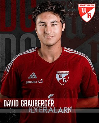 David Grauberger