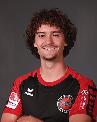 Pierre Miguel De Faria Alves Pinto