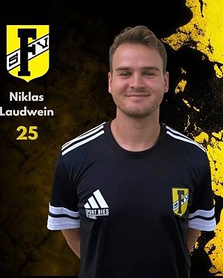 Niklas Laudwein