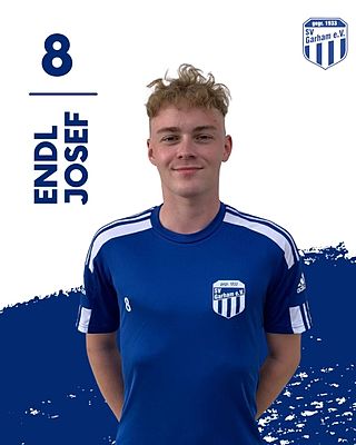 Josef Endl