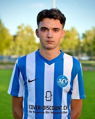 Semin Karisik