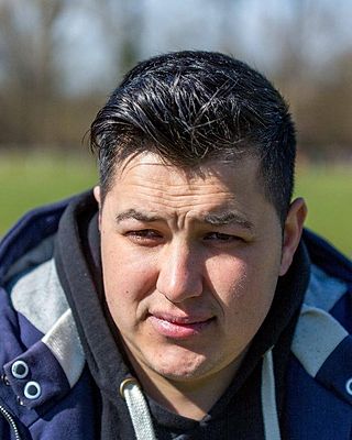 Liviu Andries
