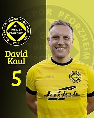 David Kaul