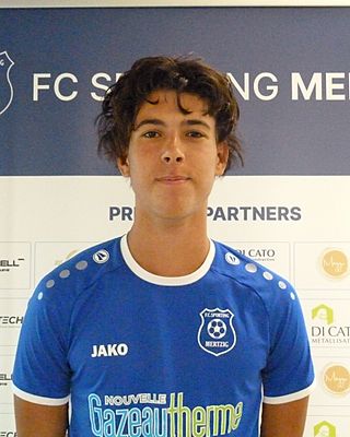 David Barros Mendes