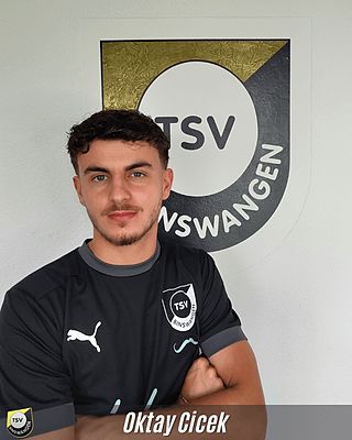 Oktay Cicek