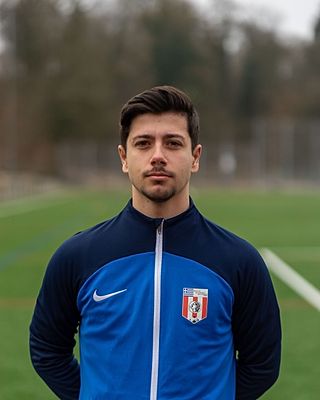 Dimitrios Stergiadis