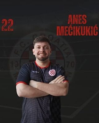 Anes Mecikukic