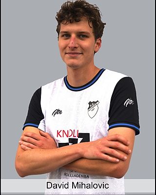 David Mihalovic