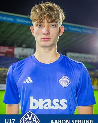 Aaron Sprung