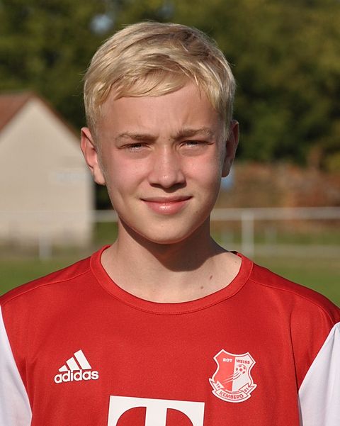 Henrik Pertzsch