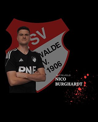 Nico Burghardt