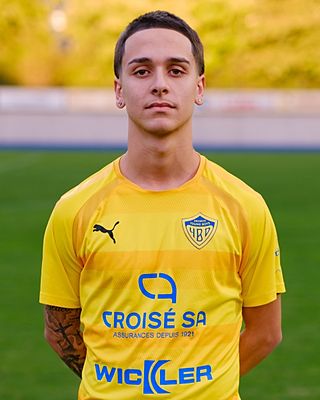 Miguel Meireles Alves