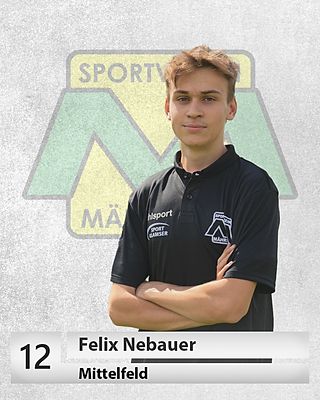 Felix Nebauer