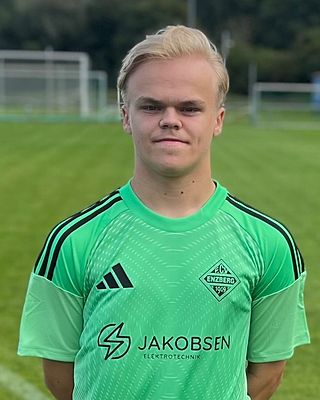 Vincent Johannes Antoni Angres