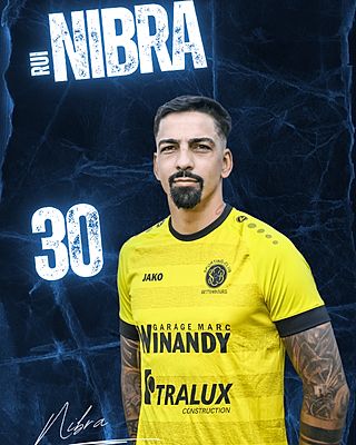 Rui Nibra