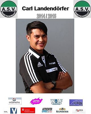 Carl Landendörfer