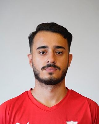 Darius Haghighi Najafabadi